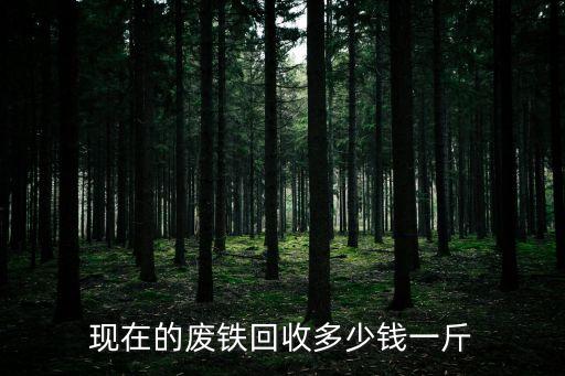 现在的废铁回收多少钱一斤