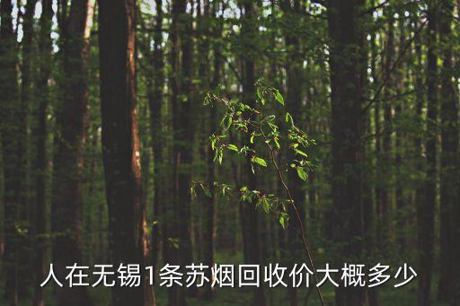 人在无锡1条苏烟回收价大概多少