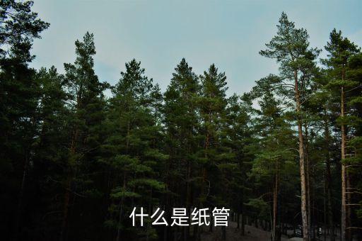 什么是纸管