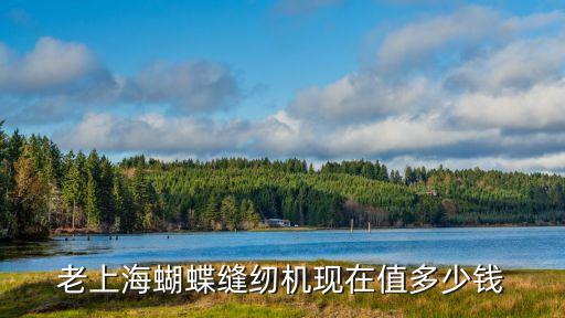 老上海蝴蝶缝纫机现在值多少钱
