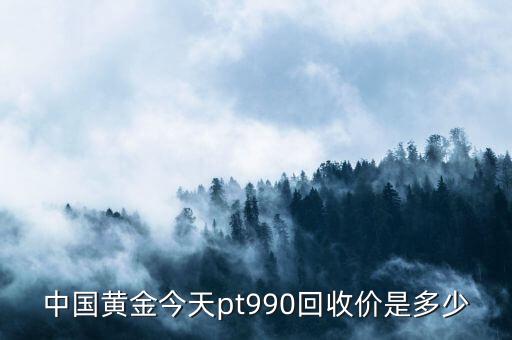 中国黄金今天pt990回收价是多少