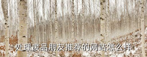 处理废品朋友推荐的网站怎么样