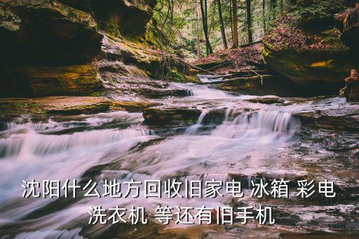 沈阳什么地方回收旧家电 冰箱 彩电 洗衣机 等还有旧手机