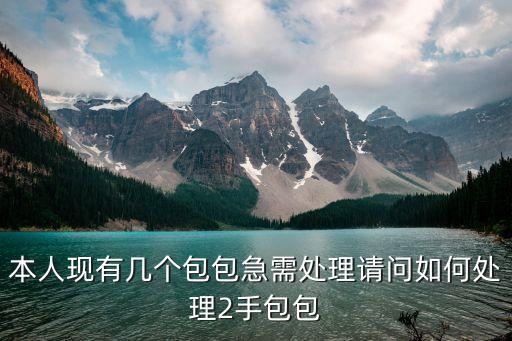 本人现有几个包包急需处理请问如何处理2手包包