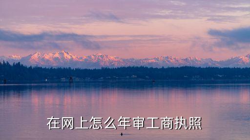 网上审工商营业执照怎么审，在网上怎么年审工商执照
