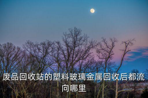 废品回收站的塑料玻璃金属回收后都流向哪里