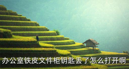 铁皮文件柜钥匙丢了怎么开锁呢，办公室铁皮文件柜钥匙丢了怎么打开啊