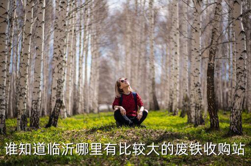 谁知道临沂哪里有比较大的废铁收购站