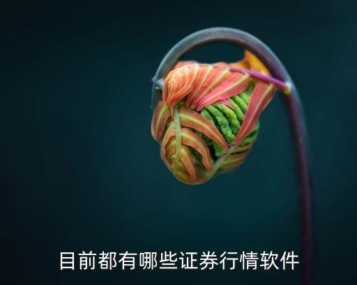 目前都有哪些证券行情软件