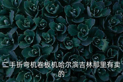 二手折弯机卷板机哈尔滨吉林那里有卖的