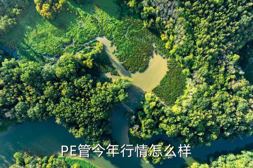 PE管今年行情怎么样