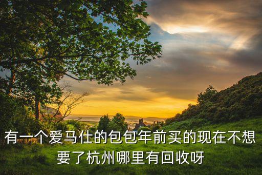 哪家回收包包，家里包包太多了想卖几个LV重庆哪个回收公司靠谱些