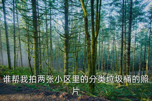 谁帮我拍两张小区里的分类垃圾桶的照片