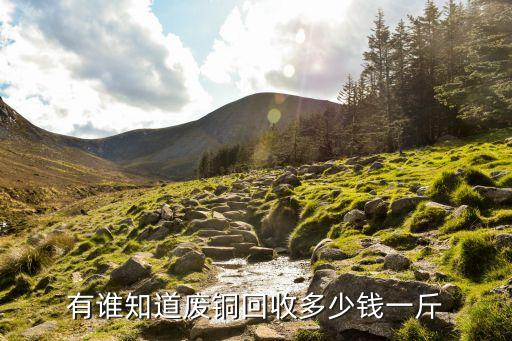 有谁知道废铜回收多少钱一斤