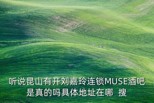 听说昆山有开刘嘉玲连锁MUSE酒吧是真的吗具体地址在哪  搜