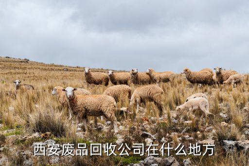 西安废品回收公司在什么地方
