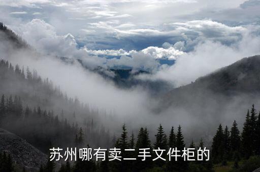 58同城二手档案柜，成都哪有卖二手的文件柜