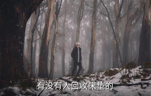 有没有人回收床垫的