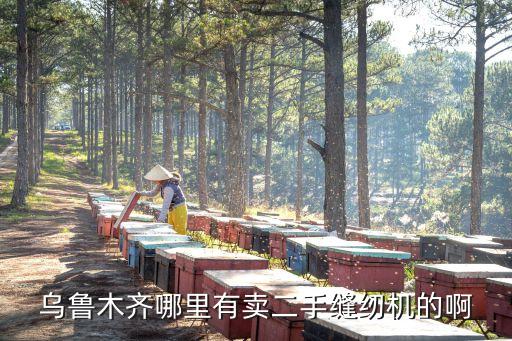 乌鲁木齐哪里有卖二手缝纫机的啊