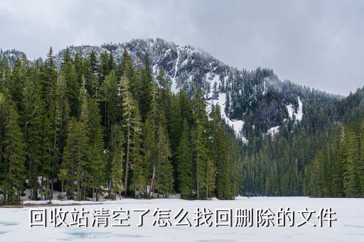 回收站清空了怎么找回删除的文件