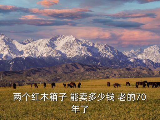 两个红木箱子 能卖多少钱 老的70年了