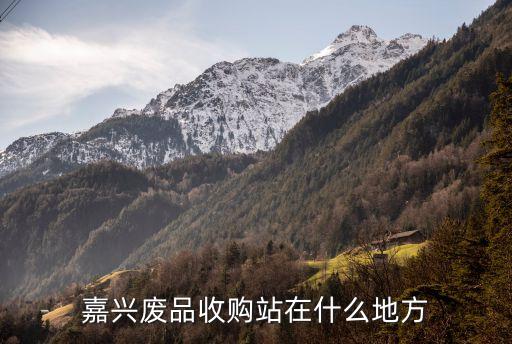 嘉兴废品收购站在什么地方