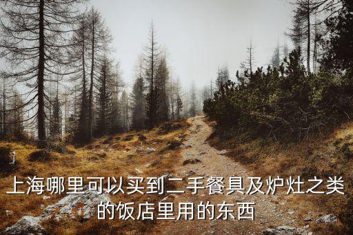 上海哪里可以买到二手餐具及炉灶之类的饭店里用的东西