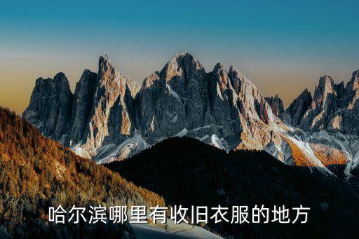 哈尔滨哪里有收旧衣服的地方