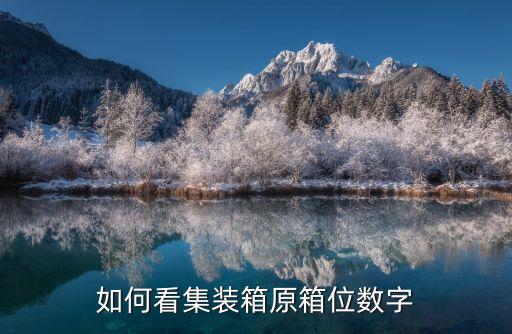 集装箱箱门信息，集装箱进出门信息中都包含哪些信息