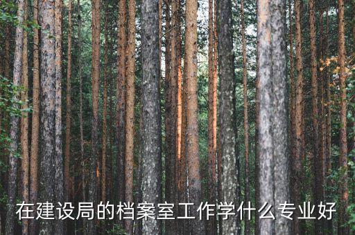 在建设局的档案室工作学什么专业好
