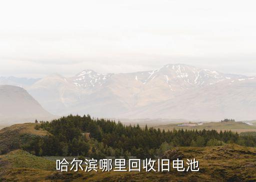 哈尔滨哪有分类垃圾桶，考斯特旅游车金杯旅游车金龙旅游车别克商务瑞丰商务分别都