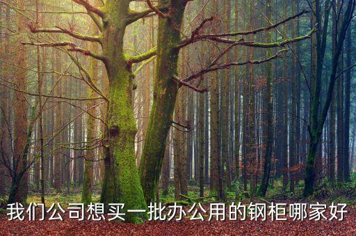 我们公司想买一批办公用的钢柜哪家好