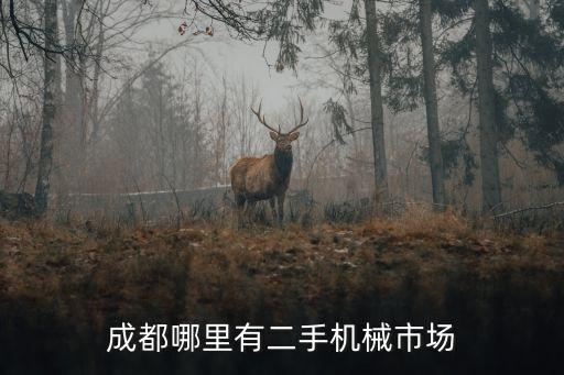 成都哪里有二手机械市场