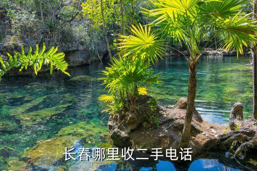 长春哪里收二手电话