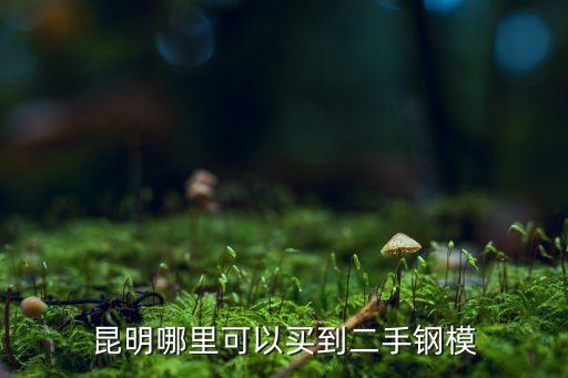 昆明哪里可以买到二手钢模