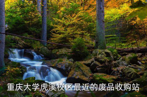 重庆大学城收旧衣服，重庆大学虎溪校区最近的废品收购站