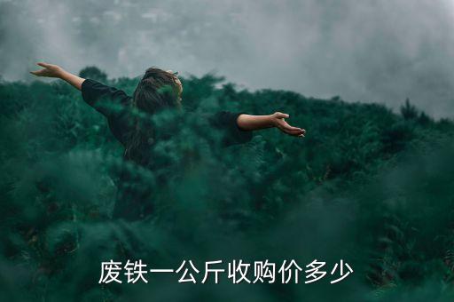 废铁一公斤收购价多少