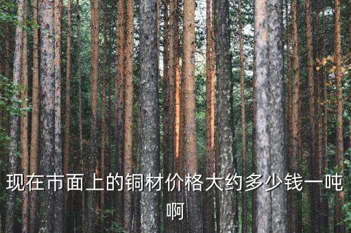 现在市面上的铜材价格大约多少钱一吨啊