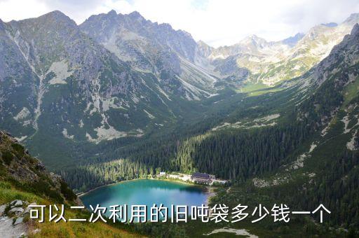 可以二次利用的旧吨袋多少钱一个
