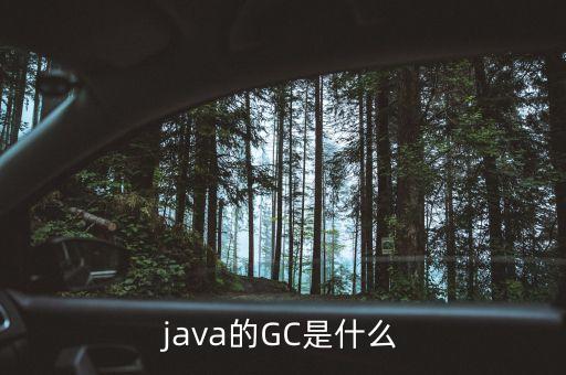 gc垃圾回收机制，Java中GC是什么 为什么要有GC