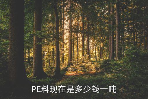 PE料现在是多少钱一吨