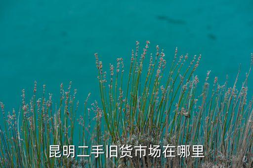 昆明废旧物资回收，昆明市废品收购总站在哪