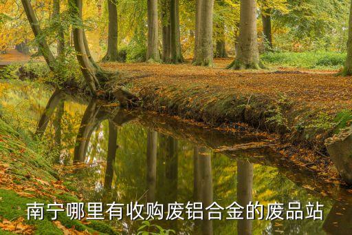 南宁哪里有收购废铝合金的废品站