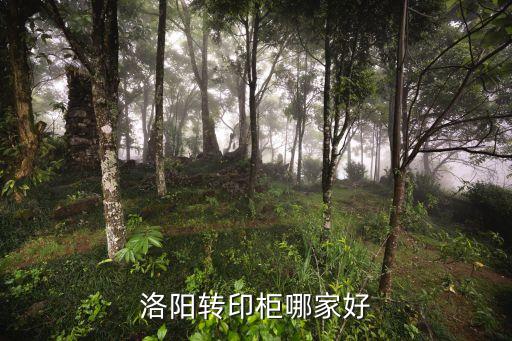 洛阳转印柜哪家好