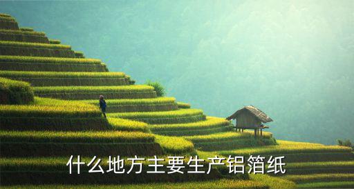锡纸加工厂代理，上海有哪几家锡箔生产公司有的话把网址告诉一下谢谢