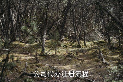公司代办注册流程