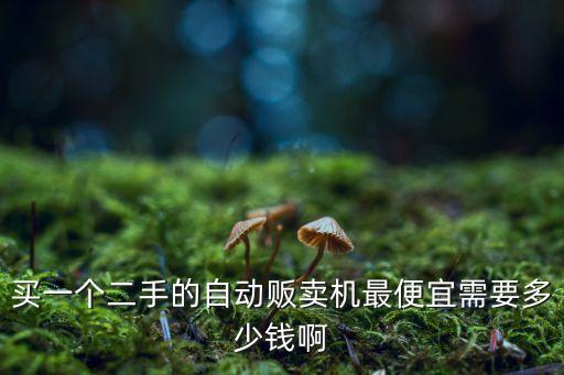 买一个二手的自动贩卖机最便宜需要多少钱啊