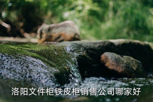 洛阳文件柜铁皮柜销售公司哪家好