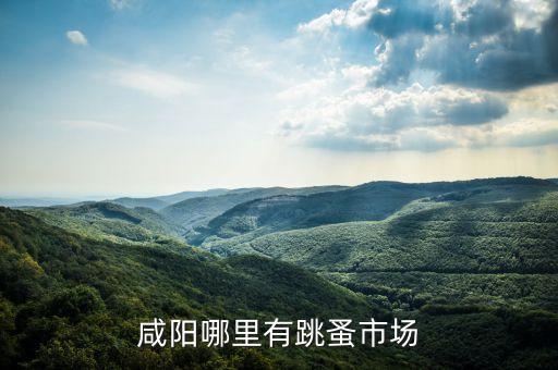 咸阳哪里有跳蚤市场