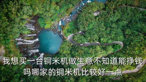 我想买一台铜米机做生意不知道能挣钱吗哪家的铜米机比较好一点